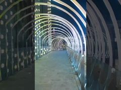 IP68 Neón bajo el agua Flex 24V Materiales TPU Flexible LED para uso en piscina