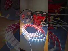 Lámparas de banda de lente LED de 24 V a prueba de agua SMD2835 Lámparas de banda de led transparente